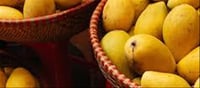 🥭 6 Amazing Health Benefits of Mangoes